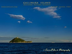 GALLINARA ISLAND 8042 - ph Enrico Pelos