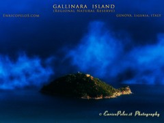 GALLINARA ISLAND 8629 - ph Enrico Pelos