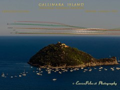 GALLINARA ISLAND 9076 - ph Enrico Pelos