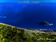GALLINARA ISLAND e FRECCE TRICOLORI 8615 arrivo sull'isola gallinara - ph Enrico Pelos cor cut